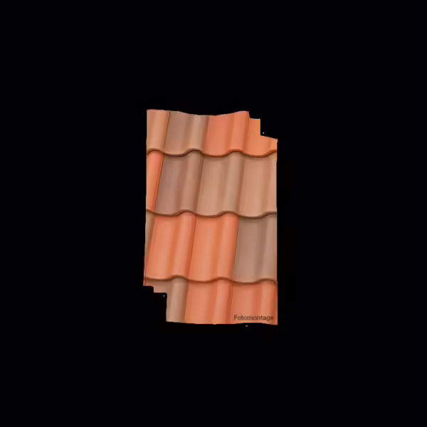 JACOBI Ζ5 - rot-bunt gedampft - Image 2